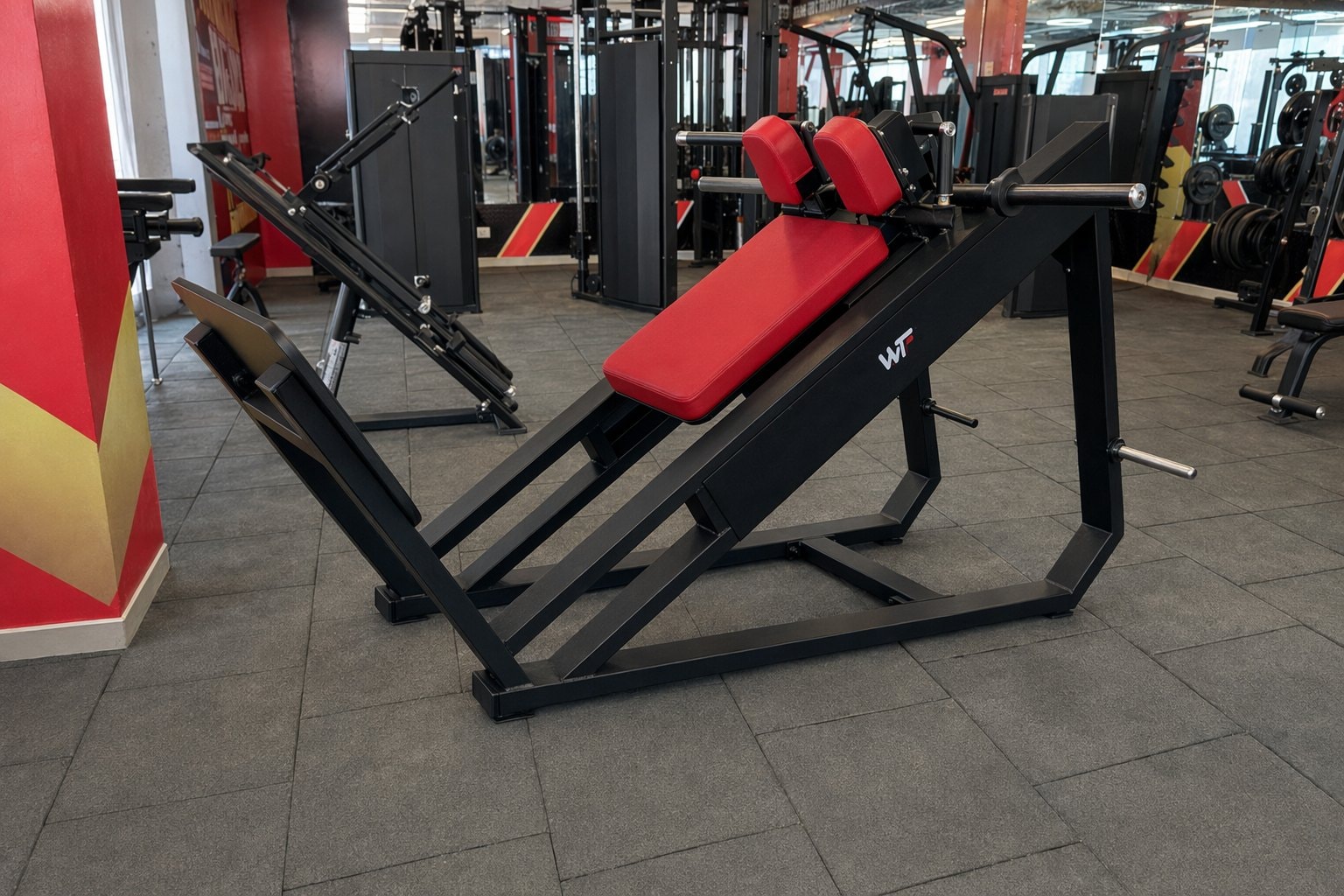 A WTF gym strength area under real member load